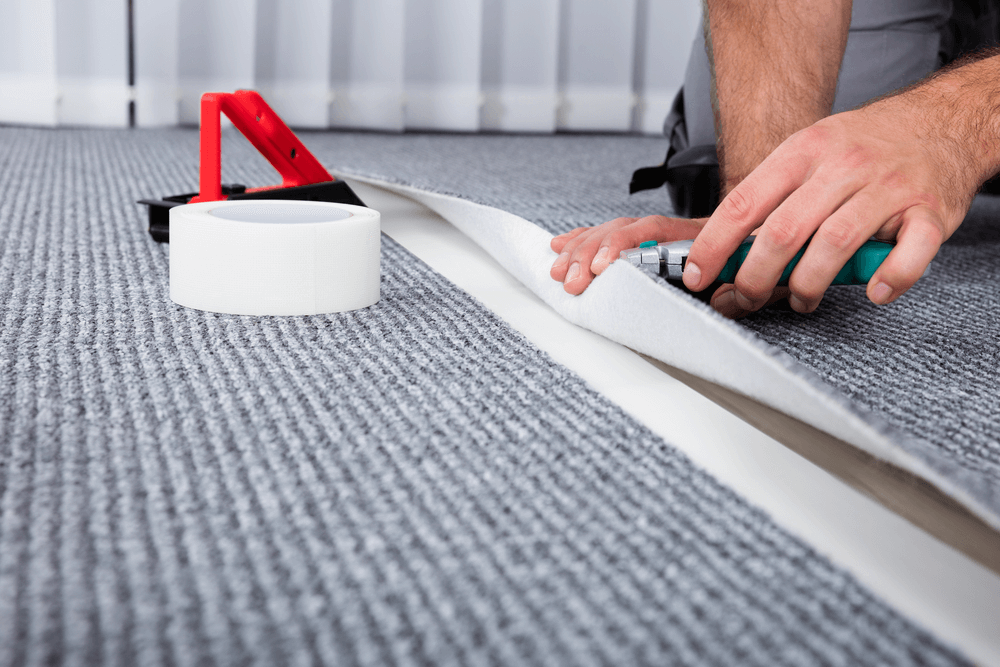 carpet