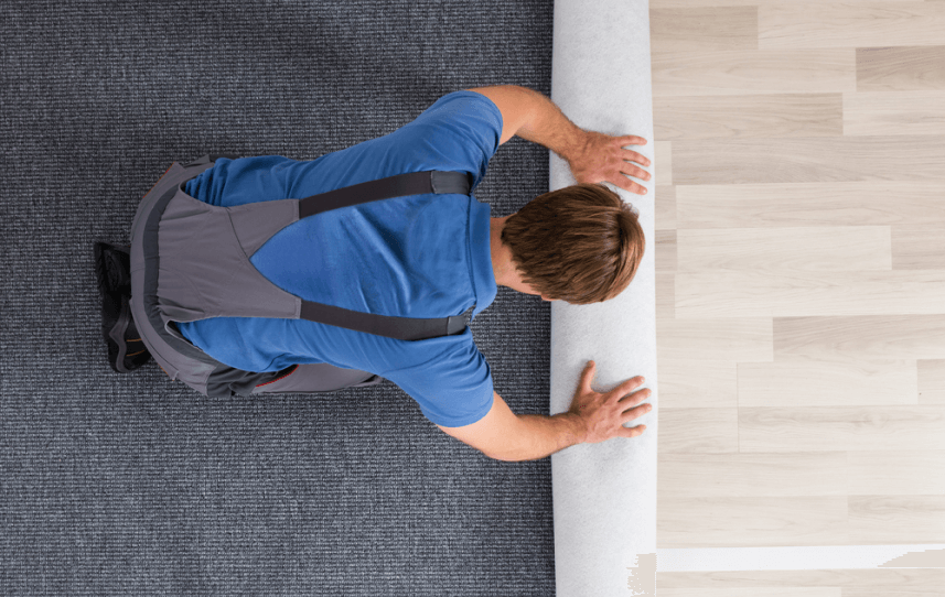 carpet